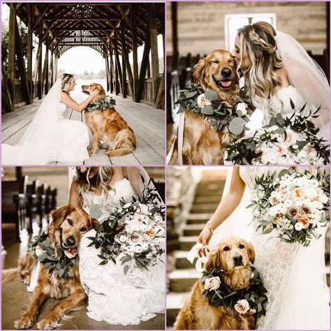 Wedding with your dog  What more could you ask for!?   #dogs #dogmom #precious #doggo #dogs #doggie Dog Wedding Pictures, Photos With Dog, Wedding Picture Poses, Wedding Pets, Foto Tips, Future Wedding Plans, Cute Wedding Ideas, Dog Wedding, Wedding Goals