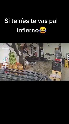 Mexican Humor, Instagram Funny Videos, Instagram Funny, Wasp, Digimon, Funny Images, Funny Animals, Funny Gif, Funny Memes