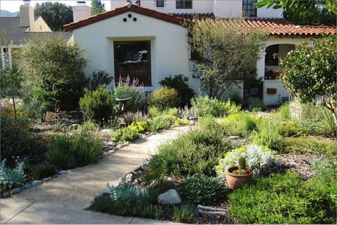 California Front Yard Landscaping Ideas, California Garden Design, California Native Landscape, California Landscaping, Native Plant Garden, Native Plant Landscape, California Native Garden, Low Water Plants, California Backyard