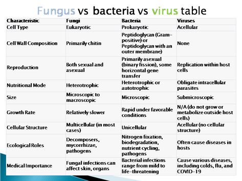 fungus vs bacteria vs virus Learn Biology, Gram Negative Bacteria, Nitrogen Fixation, Medical Quotes, Gut Microbiota, Viral Infection, Cell Wall, Symbiotic Relationships, Bacterial Infection