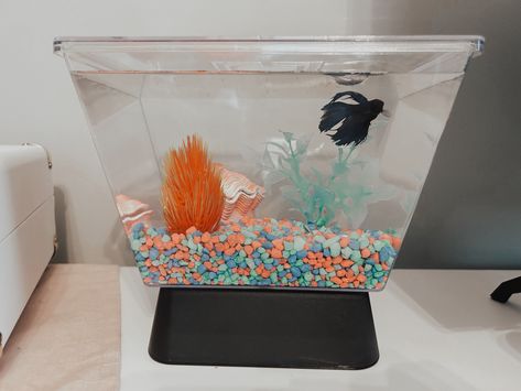 #fish #aesthetic #water #betta #fish #bettafishcare #skittles #neon #fishtankfanatics #tank #preppy #fyp #foryoupage #trendy Preppy Fish Tank, Cute Fish Tank, Cool Fish Tank Decorations, Fish Aesthetic, Bottles Decoration Wedding, Cool Fish Tanks, Aesthetic Water, Fish Decor, Fish Tank Ideas