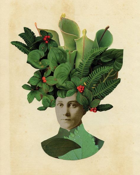 Paper collage by Amber Purdy Posters Ideas, Botanical Collage, Poster Idea, Hybrid Art, Nature Collage, Collage Portrait, Collage Art Projects, Collage Art Mixed Media, Graphic Design Trends