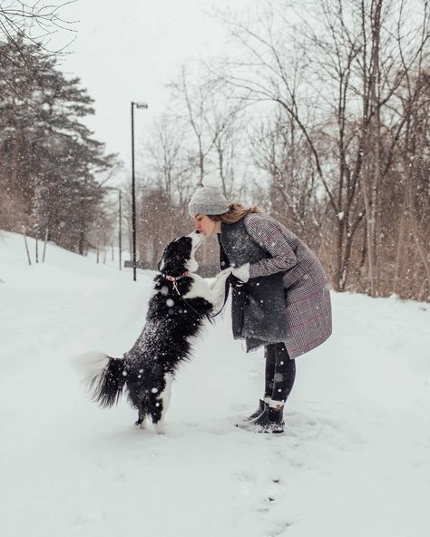 Winter walks with my border collie / winter photography inspiration / winter outfit inspiration Dog Owner Photoshoot, Dog Photoshoot Pet Photography, Puppy Announcement, Winter Family Pictures, Photos With Dog, Dog Christmas Card, Dog Poses, Dog Photoshoot, Winter Photoshoot