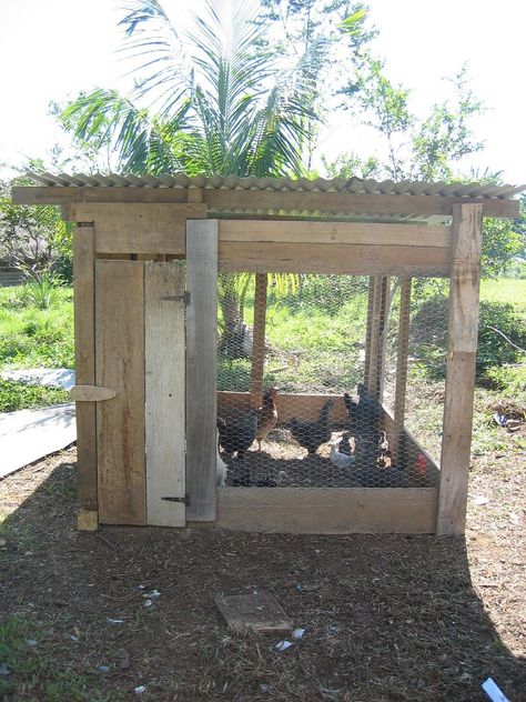 Chicken coop Chicken Coop, Coop, Chicken, Photography