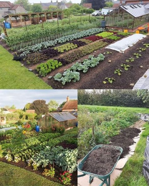 Green Garden Glory  🌎 | No-dig gardening is a sustainable and low-effort gardening method that involves building up your garden beds without disturbing the soil | Facebook Herbalist Garden, No Dig Garden, Planting Layout, Dig Gardens, Growing Gardens, Creative Gardening, Garden Layout, Green Garden, The Soil