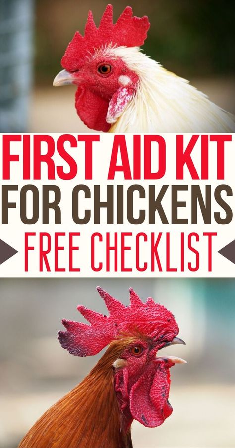 Homesteading Checklist, Raising Chickens Diy, Chicken Illness, Sick Chicken, Chicken Care, Backyard Chicken Coop Plans, Backyard Chicken Farming, Chicken Life, Chicken Health