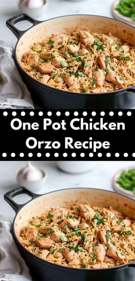 Brighten up your dinner routine with this One Pot Chicken Orzo Recipe. It’s a wholesome blend of chicken and orzo, seasoned to perfection, and ready in no time for a delightful meal. One Pot Chicken Orzo, Greek Chicken Breast, Chicken And Orzo, Orzo Dishes, Orzo Recipe, How To Cook Orzo, Orzo Recipes, Chicken Orzo, Roasted Chicken Breast