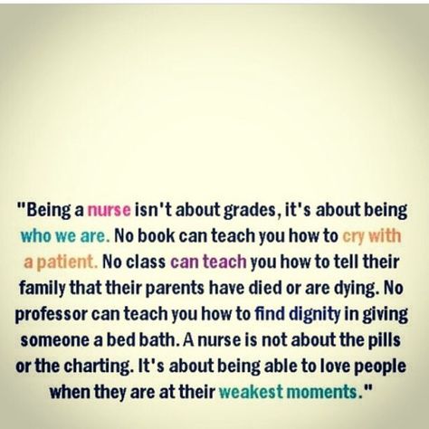 What it means to be a nurse... Nursing School Quotes, Nursing Student Humor, Being A Nurse Quotes, Being A Nurse, Nursing School Humor, Nursing School Graduation, Student Humor, Nurse Stuff, School Quotes