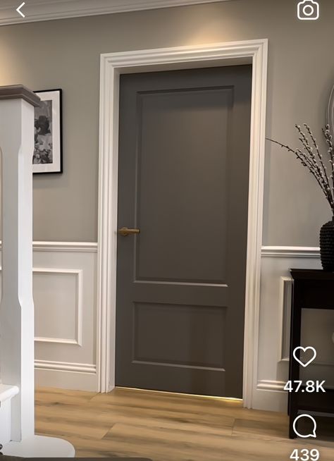 Doors And Walls Painted Same Color, Dark Gray Hallway Ideas, Graphite Doors Interior, Dark Hallway Doors, Grey Interior Doors With White Trim, Inside Door Colors Paint, Light Trim Dark Doors, Interior Dark Doors, Dark Indoor Doors