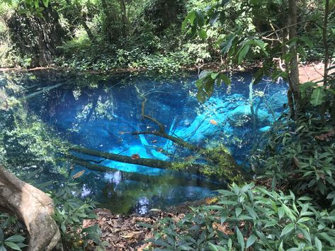 Not photoshop!!! Real blue water.... 🥰 #kalaw #myanmar #bluelake Kalaw Myanmar Photography, Myanmar Photography, Kalaw Myanmar, Kalaw, Fav Place, Dream Places, Yangon, Blue Lake, Blue Water