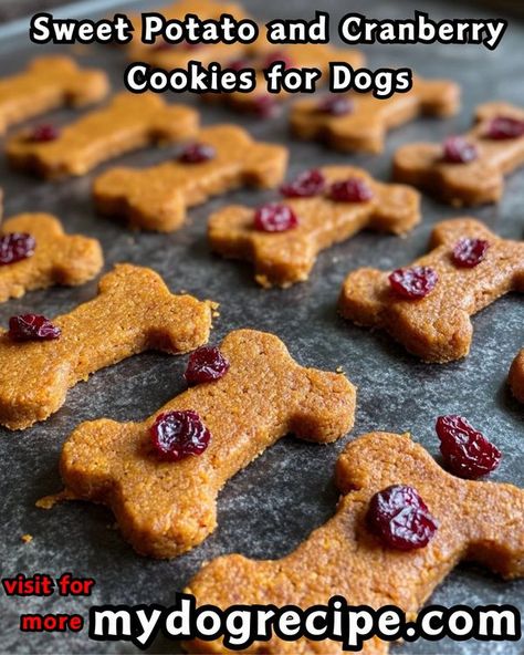 Homemade dog food recipes | Sweet Potato and Cranberry Cookies for Dogs | Facebook Cranberry Treats For Dogs, Pumpkin Cranberry Dog Treats, Thanksgiving Treats For Dogs, Food Recipes Sweet Potato, Food Recipes Sweet, Cranberry Dog Treats, Cranberry Treats, Cookies For Dogs, Recipes Sweet Potato