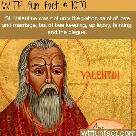 Valentine Meme, Meme Photo, Valentines Memes, What The Fact, Learn Something New Everyday, Interesting Facts About World, St Valentine, Funny Random, Mind Blowing Facts