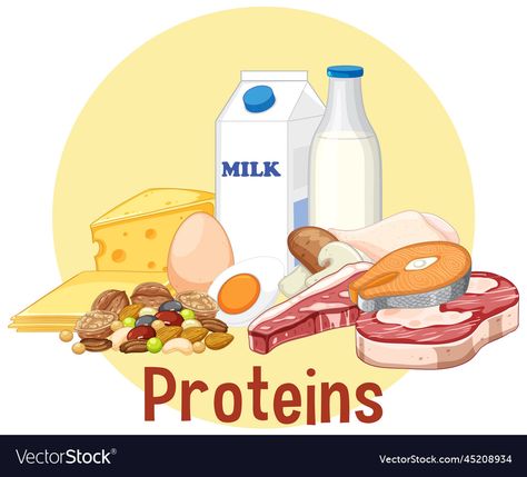 Protein Foods Drawing, Protein Drawing, Svg Bundles, Food Clipart, Food Cartoon, Food Png, Food Pyramid, High Protein Diet, Cartoon Drawing