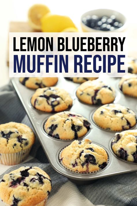 Lemon blueberry muffins Muffin Recipes Lemon Blueberry, Organic Blueberry Muffins, Easy Lemon Blueberry Muffins, Gluten Free Lemon Blueberry Muffins, Healthy Lemon Blueberry Muffins, Blueberry Muffins Easy, Frozen Blueberry Muffins, Blueberry Muffins From Scratch, Cinn Rolls