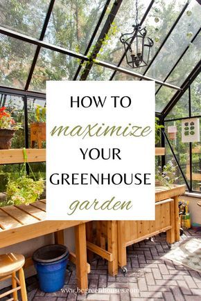 Interior Of Greenhouse, Greenhouse Interiors Shelving, Diy Greenhouse Shelves Potting Benches, Potting Shed Layout, Shelves In Greenhouse, Greenhouse Design Interior, Greenhouse Shelving Ideas Interiors, Greenhouse Shelves Ideas, Green House Interior Ideas Planters