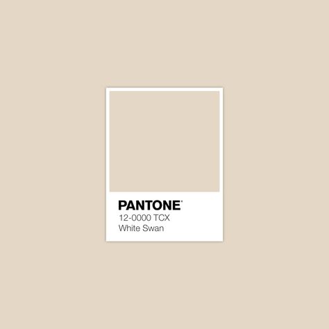 Pantone 12-0000 White Swan Bleu Pantone, Blue Swatches, Color Library, Pantone Swatches, Pantone Colours, Pantone Palette, Pantone Colour Palettes, Pantone Colors, Idea Design