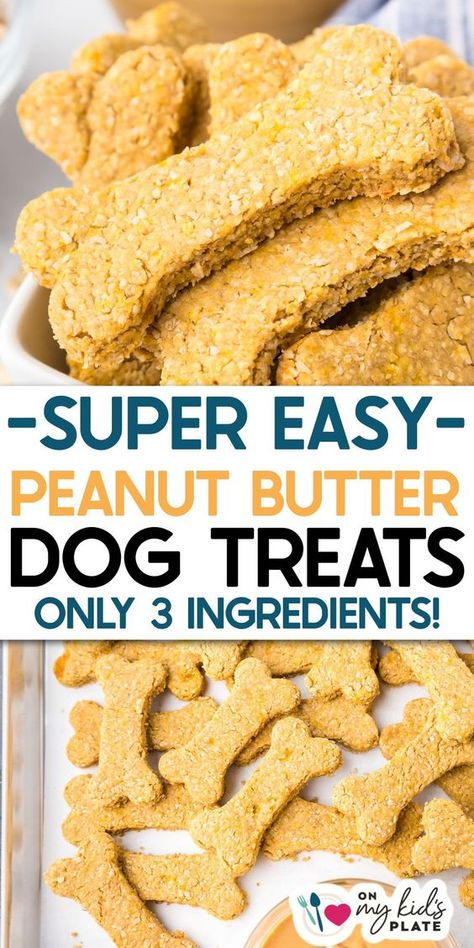 Peanut Butter Oatmeal Dog Cookies, Peanut Butter And Oatmeal Dog Treats, Homemade Dog Treats Peanut Butter Pumpkin, Dog Oatmeal Treats, Baked Dog Treats Recipes Peanut Butter, Peanut Butter And Honey Dog Treats, High Protein Dog Treat Recipes, Dog Treats Homemade Pumpkin Peanut Butter, Easy Dog Snacks