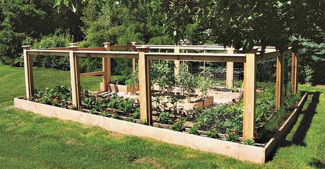 Homefront Farmers Projects - Traditional - Landscape - New York - by Homefront Farmers Enclosed Garden Ideas, Enclosed Vegetable Garden, Enclosed Garden Structures, Garden Enclosure Ideas, Garden Enclosure, Enclosed Garden, Enclosure Ideas, Raised Bed Garden Design, Berry Garden