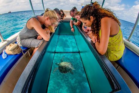 Glass Bottom Boat Ride in Andaman Islands Andaman Tour, Glass Boat, Andaman Islands, Glass Bottom Boat, Andaman And Nicobar Islands, Charter Boat, Boat Ride, Island Beach, Boat Trips