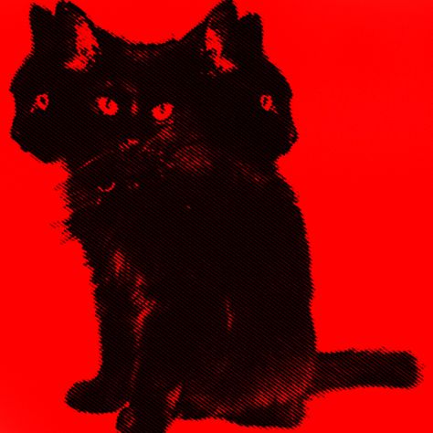 Dark Red Black Aesthetic, Red Astethics, Aesthetic Red And Black, Punk Makeup, Red Filter, Red Icons:), Red Cat, Cat Aesthetic, Red Wallpaper