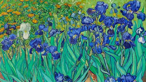 Van Gogh Wallpaper, Enchanted Gardens, Van Gogh Irises, Wallpaper Notebook, Laptop Wallpaper Desktop Wallpapers, Computer Wallpaper Desktop Wallpapers, Cute Laptop Wallpaper, Arte Van Gogh, Desktop Wallpaper Art