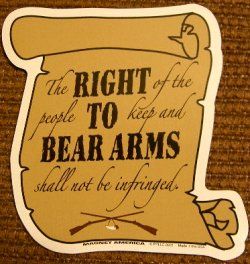 Right To Bear Arms, Shall Not Be Infringed, Bear Arms, Freedom Of Speech, Wise Words, Bears, Novelty Sign, Film, Quick Saves