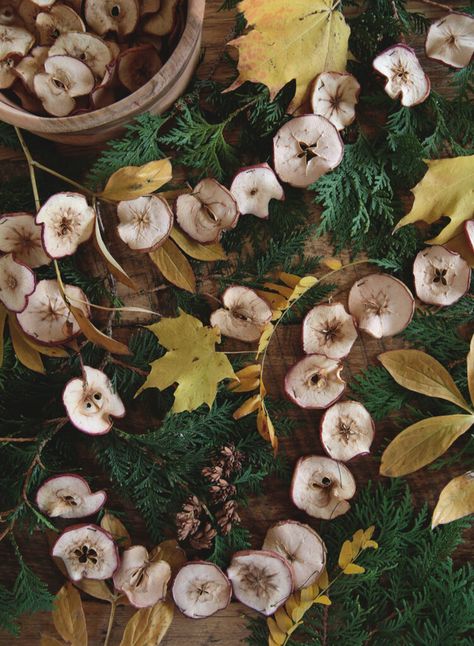 Dried citrus garland