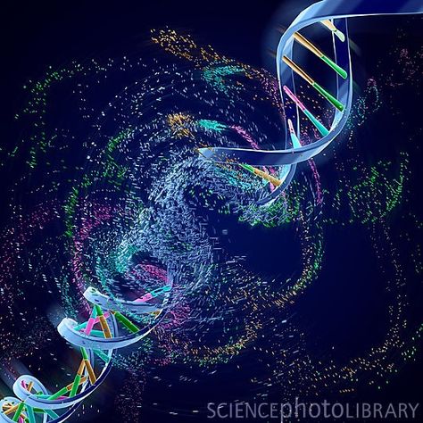 Dna Art, Biology Art, Dna Repair, Molecular Biology, Biotechnology, Microbiology, Science Art, Neuroscience, Science And Nature