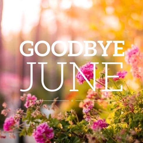 One last Goodbye to June. June Images, Goodbye June, Gif Illustration, Food Makeup, Advertising Quotes, Hello July, Disney Instagram, Lovely Quotes, Food Diy