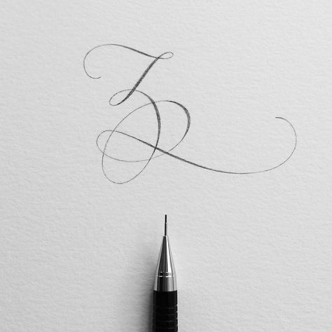 Letter Z. That's a wrap! Thanks so much for following this series and cheering me on (seriously, if it wasn't for you, I would have stopped at letter B).  #ep_letters #pencillettering #pencilcalligraphy #abcs_z Cursive Z Tattoo, Signature Ideas Handwriting, Z Letter Design, Pencil Calligraphy, Calligraphy Letters Alphabet, Flourish Calligraphy, Z Letter, Z Tattoo, Copperplate Calligraphy