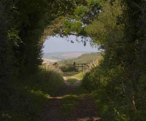 Tree Tunnel, Have Inspiration, English Countryside, Nature Aesthetic, Pretty Places, Green Aesthetic, Narnia, Pretty Pictures, Secret Garden