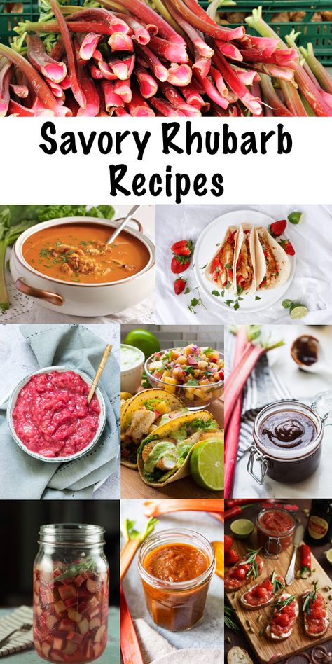 Savory Rhubarb Recipes Rhubarb Dinner Recipes, Rhubarb Savory Recipes, Recipes With Rhubarb, Vegan Rhubarb Recipes, Easy Savory Recipes, Savory Rhubarb Recipes, Rhubarb Salsa, Rhubarb Pies, How To Cook Rhubarb