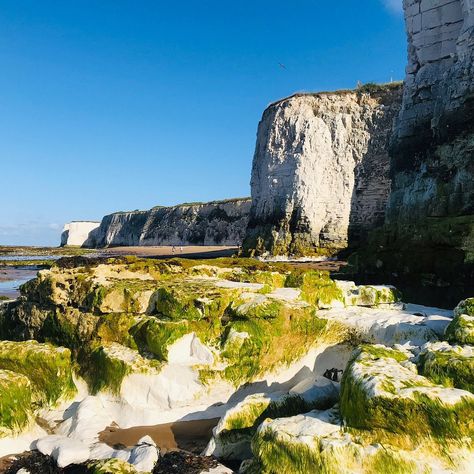 Botany Bay (Kingsgate) - All You Need to Know BEFORE You Go Botany Bay Kent, Botany Bay, Sea Cliff, Kent England, 2024 Vision, Botany, Trip Advisor, No 1, Vision Board