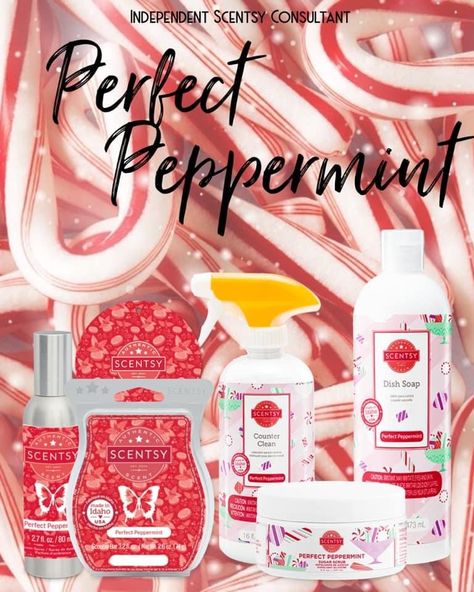 Counter Cleaner, Home Feeling, Scentsy Consultant Ideas, Peppermint Christmas, Scentsy Scent, Scentsy Bars, Wickless Candles, Electric Candle Warmers, Scentsy Consultant