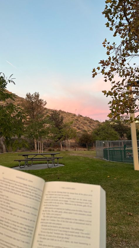 Reading In The Park, Reading Park, Sunset Trees, Park Sunset, Pretty Aesthetic, Fall Reading, Park Pictures, Book Flowers, Park Photos