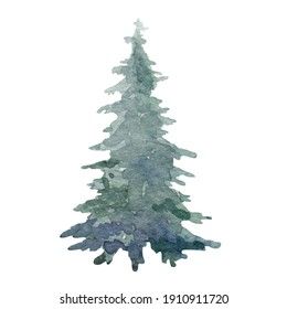 Cedar Tree Watercolor, Trees Watercolor, Tree Watercolor, Cedar Tree, Forest Plants, Cedar Trees, Watercolor Images, Evergreen Trees, Watercolor Trees