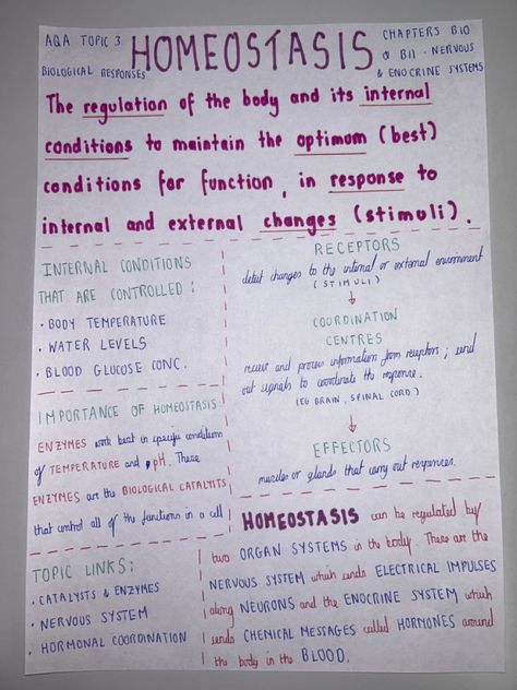 Homeostasis Biology Notes Gcse, Biology Homeostasis Notes, Homeostasis Biology Notes, Homeostasis Notes, Nurse Loading, School Revision, Gcse Science Revision, Igcse Biology, Science Revision