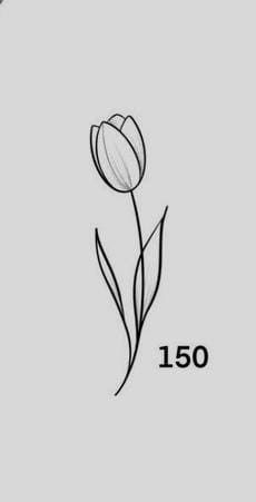 Tulip Simple Tattoo, Tulip Outline Tattoo, White Tulip Tattoo, Dainty Tulip Tattoo, Simple Wildflower Tattoo, Simple Tulip Drawing, Simple Tulip Tattoo, Small Tulip Tattoo, Tulip Tattoo Design