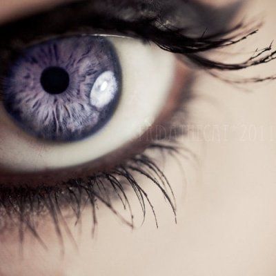 violet eye Ashara Dayne, Beautiful Eyes Color, Yennefer Of Vengerberg, Photos Of Eyes, Violet Eyes, Neil Gaiman, Gorgeous Eyes, Purple Eyes, Barbara Palvin