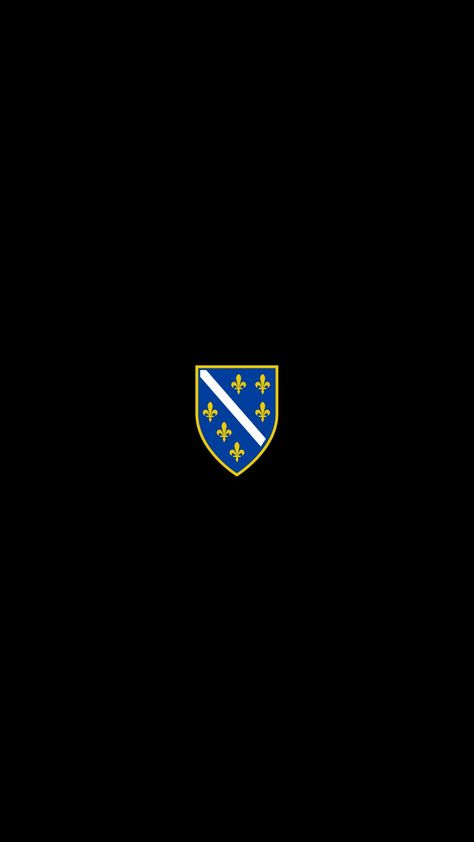 Bih Bosnia And Herzegovina Flag, Nina Core, Bosnian Flag, Bosnia Flag, Bosnia And Herzegovina Flag, Balkan Aesthetic, Balkan Walls, Herzegovina Flag, Bosna I Hercegovina