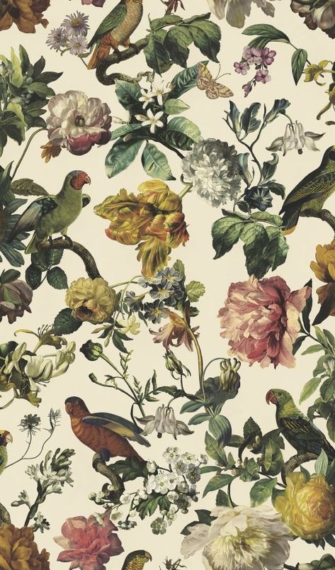 Museum kuitutapetti - 307301 - Museum - EIJFFINGER - Tapettimallit - Tapettitaivas Oy Hello Wallpaper, Parakeet Bird, Brewster Wallpaper, Floral Pattern Wallpaper, Cream Wallpaper, Pip Studio, Bird Wallpaper, Botanical Wallpaper, Flowers Wallpaper