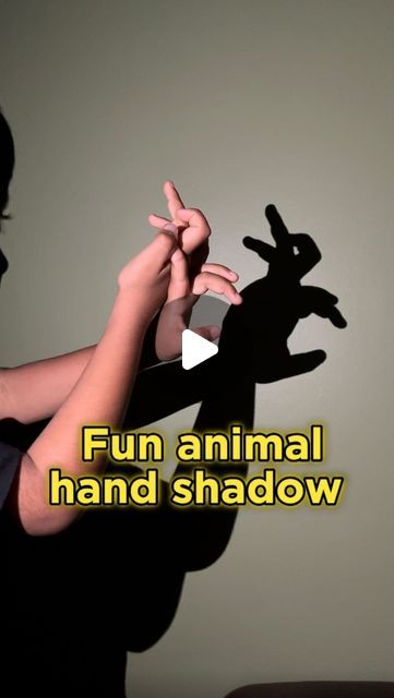 Shadow Lessons, Shadow Activities, Hand Shadows, Shadow Art, English Lessons For Kids, Service Learning, Kids Activities, English Lessons, Have Some Fun