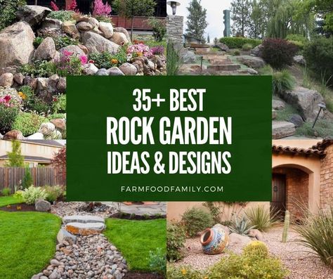 A rock garden may be anything from a huge project with many different elements and layers to a little nook with river stones and gravel. Low Maintenance Rock Garden Ideas, Low Maintenance Rock Garden, Modern Rock Garden, Garden On A Budget, Rock Garden Ideas, Landscaping Rock, Rock Landscape, Rocks Landscaping, Garden Rocks