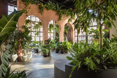 Greenery NYC opens ‘biophilic design store’ in Greenpoint, Brooklyn - Curbed Biofilic Design, Plant Vessels, San Myshuno, Greenery Design, Plant Installation, New York City Apartment, Biophilic Design, City Apartment, Higher Design