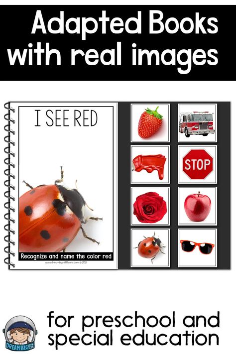 Coil bound Adapted book with a lady bug on the title page and 8 tiles of objects that are red: strawberry, fire truck, paint, stop sign, rose, apple, ladybug and sunglasses. Adaptive Books Preschool, Adaptive Books Special Education Free, Free Adapted Books For Special Education, Preschool Special Education Activities, Special Education Preschool Activities, Special Ed Preschool, Special Education Preschool Classroom, Sped Preschool, Preschool Color Theme