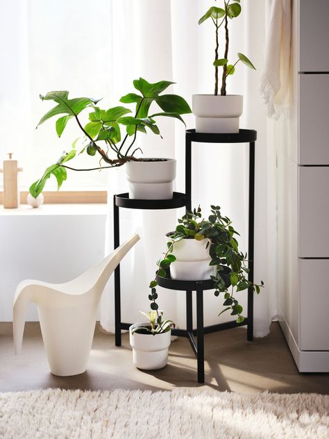 Ikea Stand, Ikea Plants, Cool Mist Humidifier, Plant Stand Indoor, Clean Air, Ikea Hack, Plant Stand, Plant Care, Potted Plants