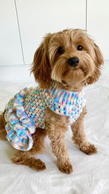 Crochet Dog Dresses Free Pattern, Crochet Dog Dress Free Pattern, Crochet Dog Outfit, Crochet For Pets, Crochet Dog Dress, Crochet Dog Sweater Free Pattern, Diy Dog Sweater, Crochet Dog Clothes, Crochet Tutu