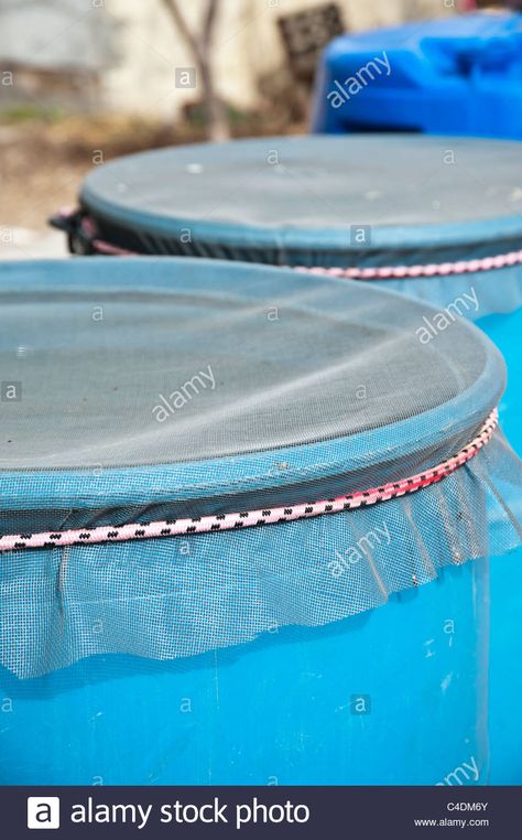 Download this stock image: The screen on the top of a rain barrel used to catch rain wate for use in the garden, Missoula Montana. - C4DM6Y from Alamy's library of millions of high resolution stock photos, illustrations and vectors. Rain Barrel System, Barrels Diy, Water Collection System, Water Barrel, Missoula Montana, Rainwater Harvesting, Water Collection, Rain Barrel, Rain Water Collection