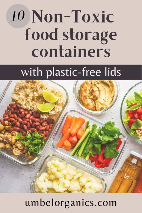 glass food storage containers with food Food Container Covers, Plastic Free Food Storage, Plastic Food Containers, House Updates, Toxic Foods, Waste Free, Airtight Food Storage, Meal Prep Containers, Freezer Cooking