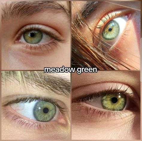 Eye Colors Green, Jade Eyes Color, Different Types Of Green Eyes, Vibrant Green Eyes, Meadow Green Eyes, Eye Color Names, Types Of Green Eyes, Light Hazel Eyes, Jade Green Eyes